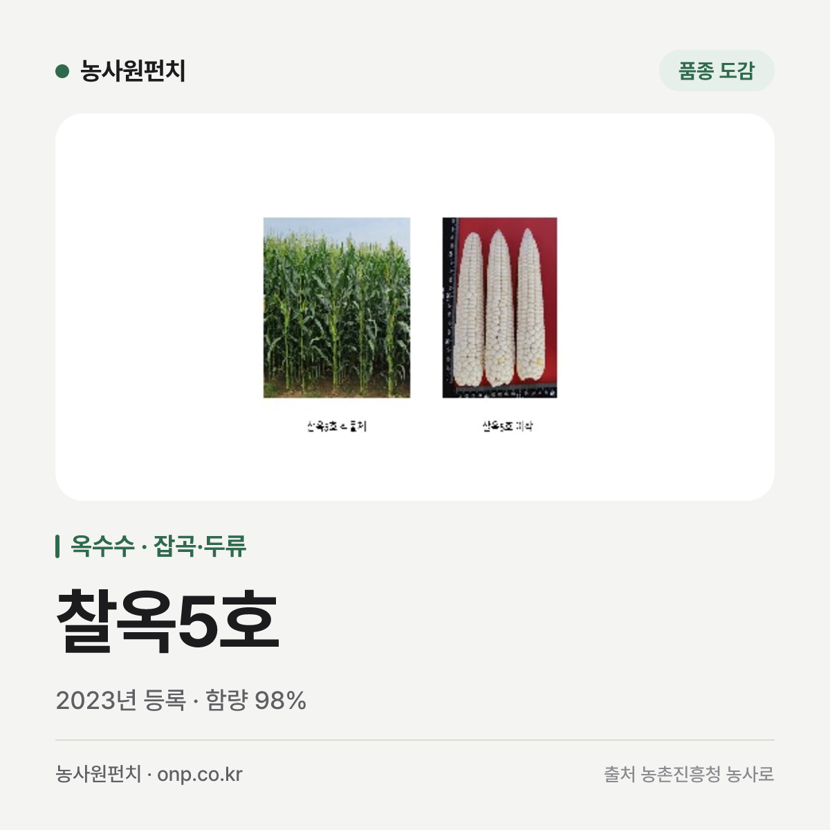 찰옥5호