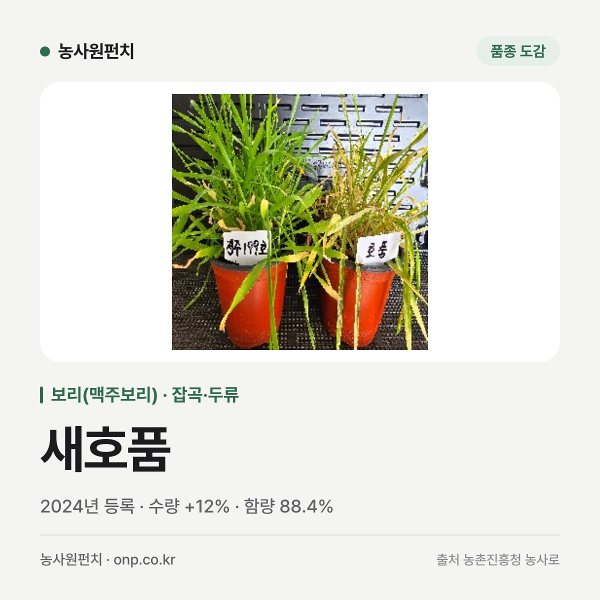 새호품