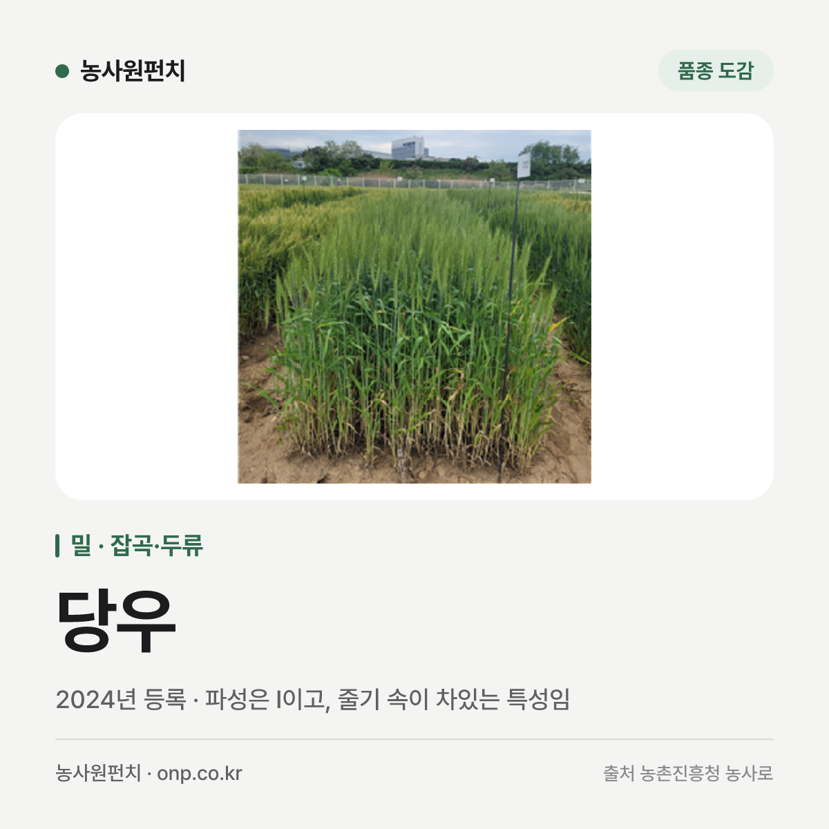 당우