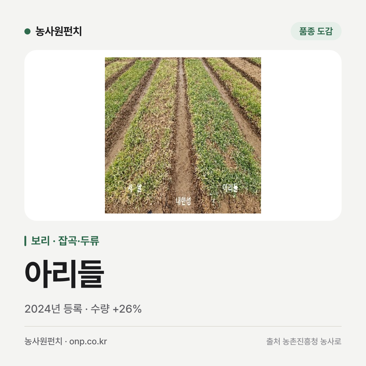 아리들