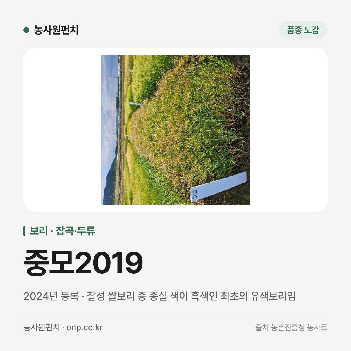 중모2019
