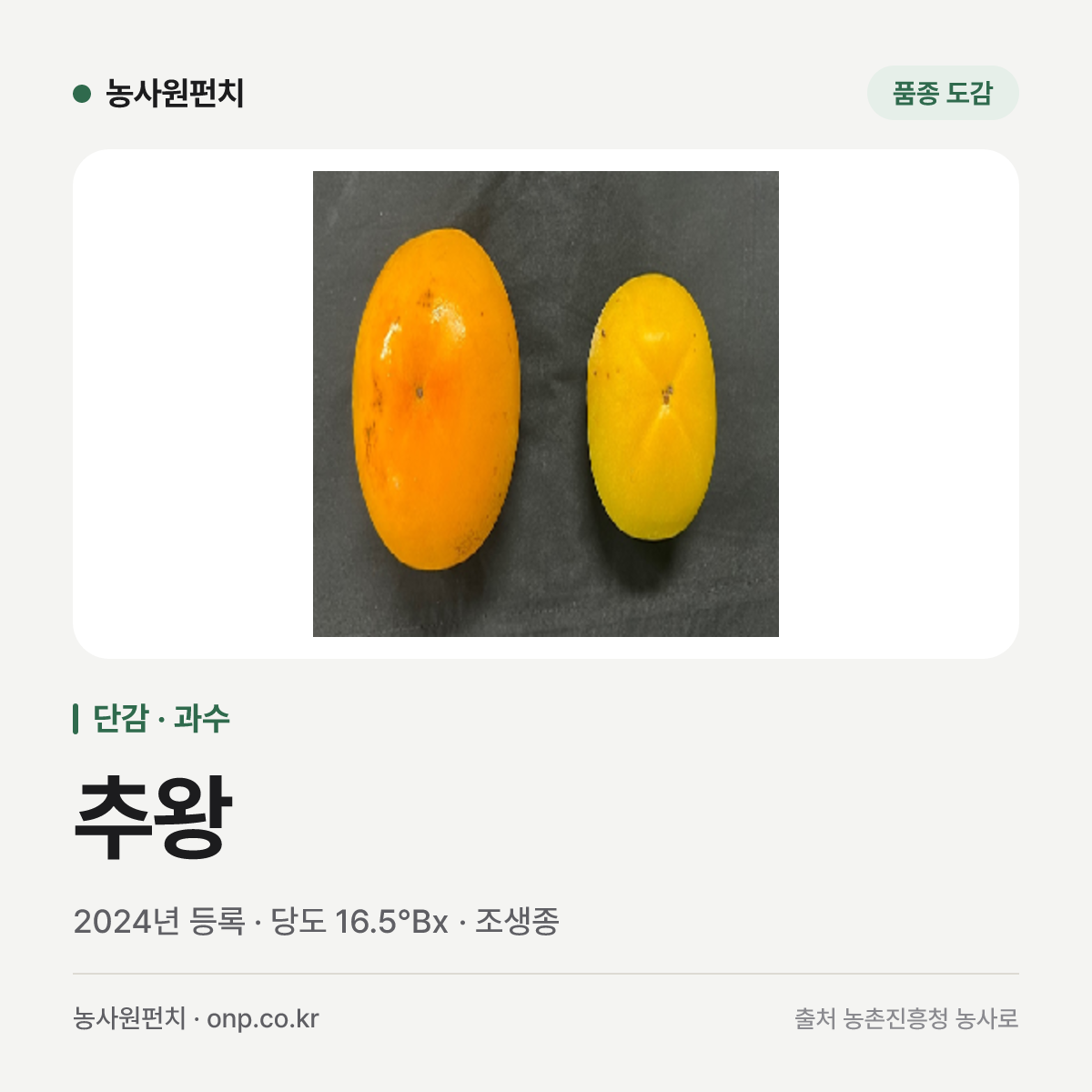 추왕