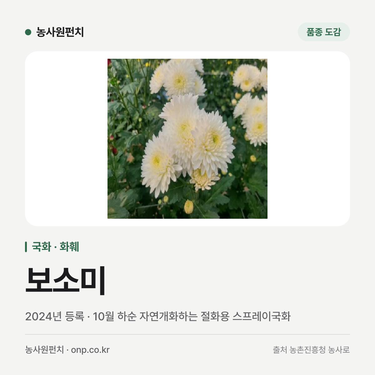 보소미