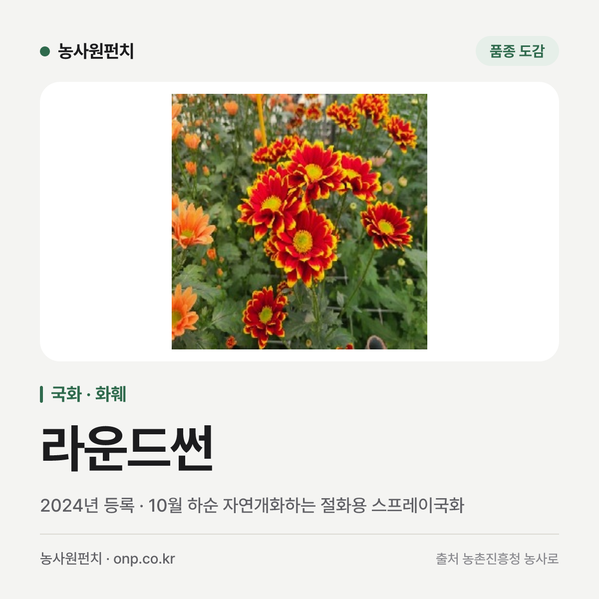 라운드썬