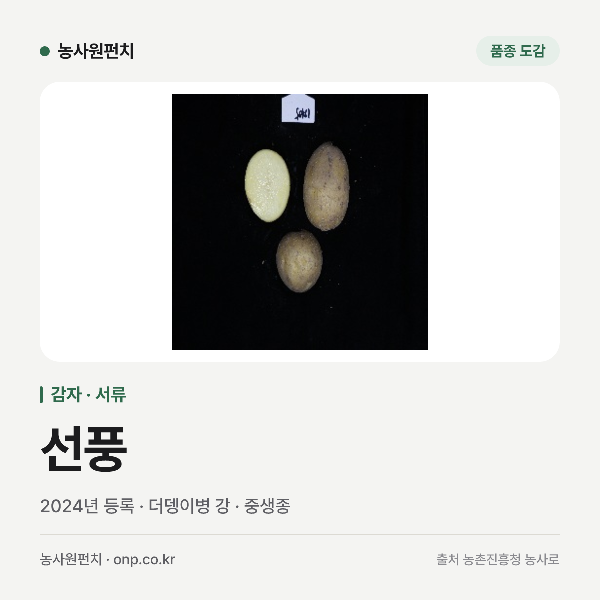 선풍