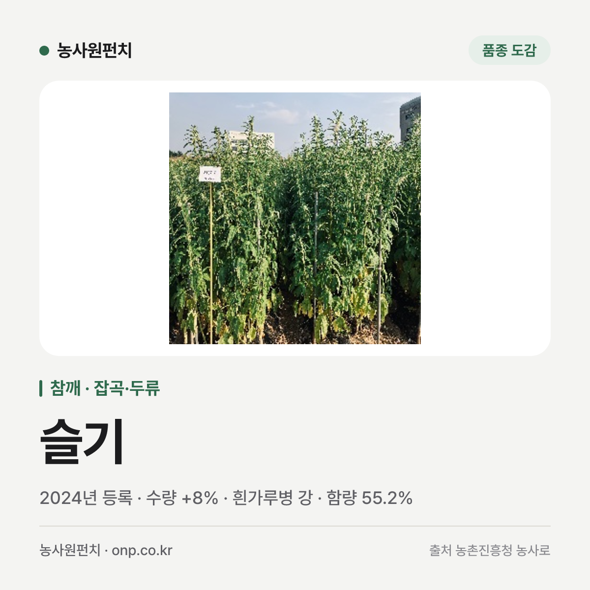 슬기