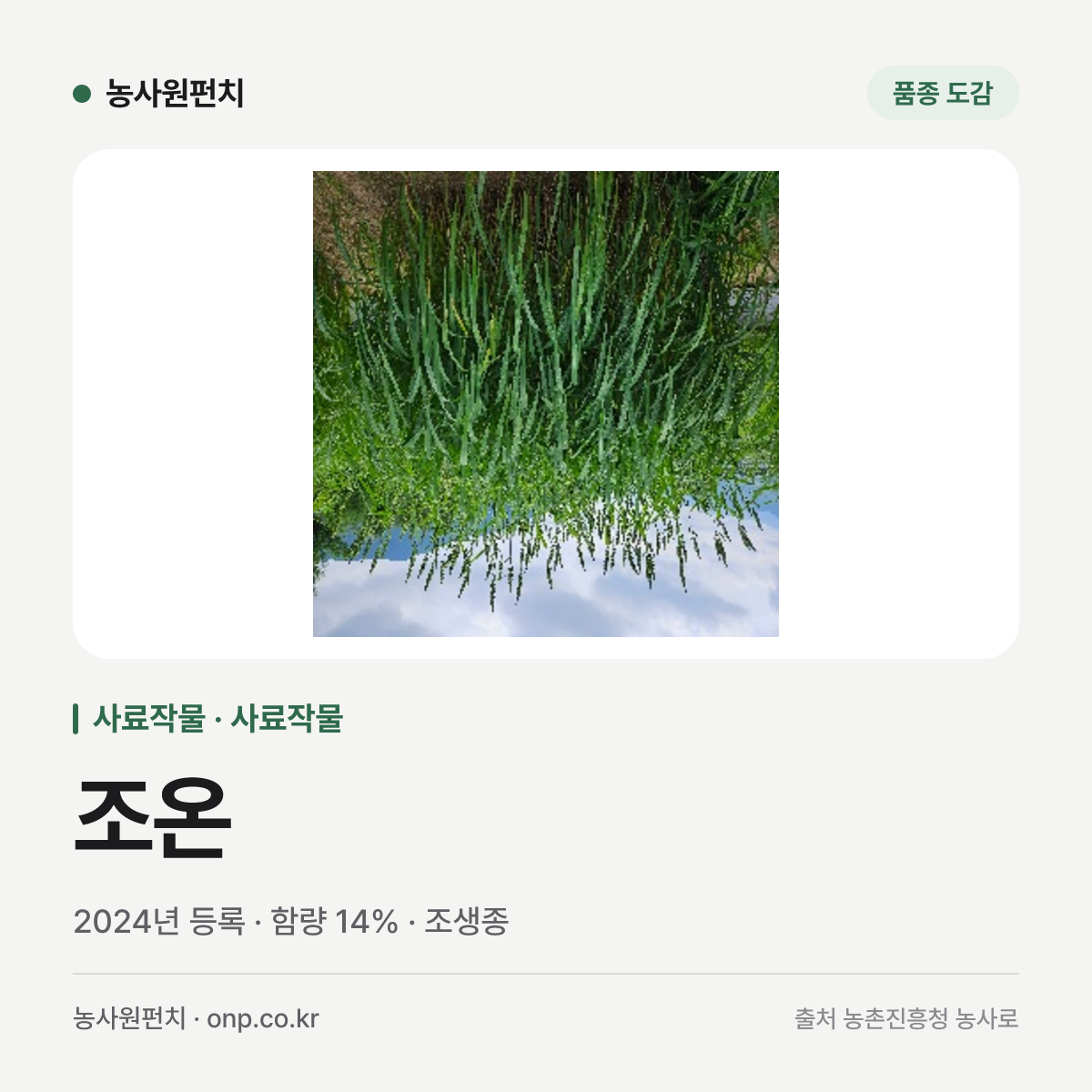 조온