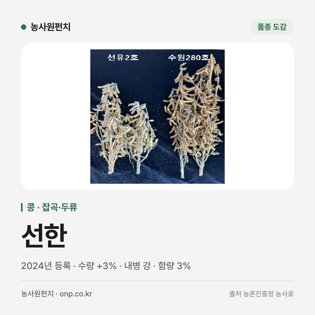 선한
