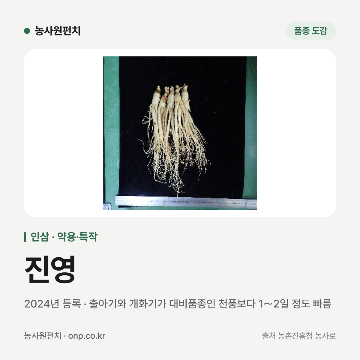 진영