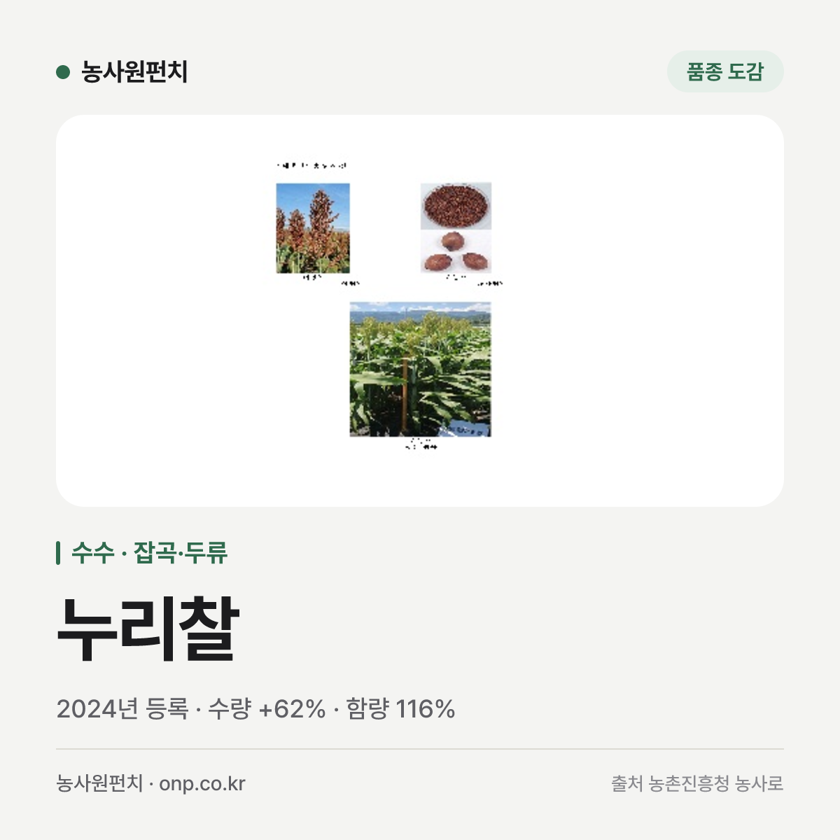 누리찰