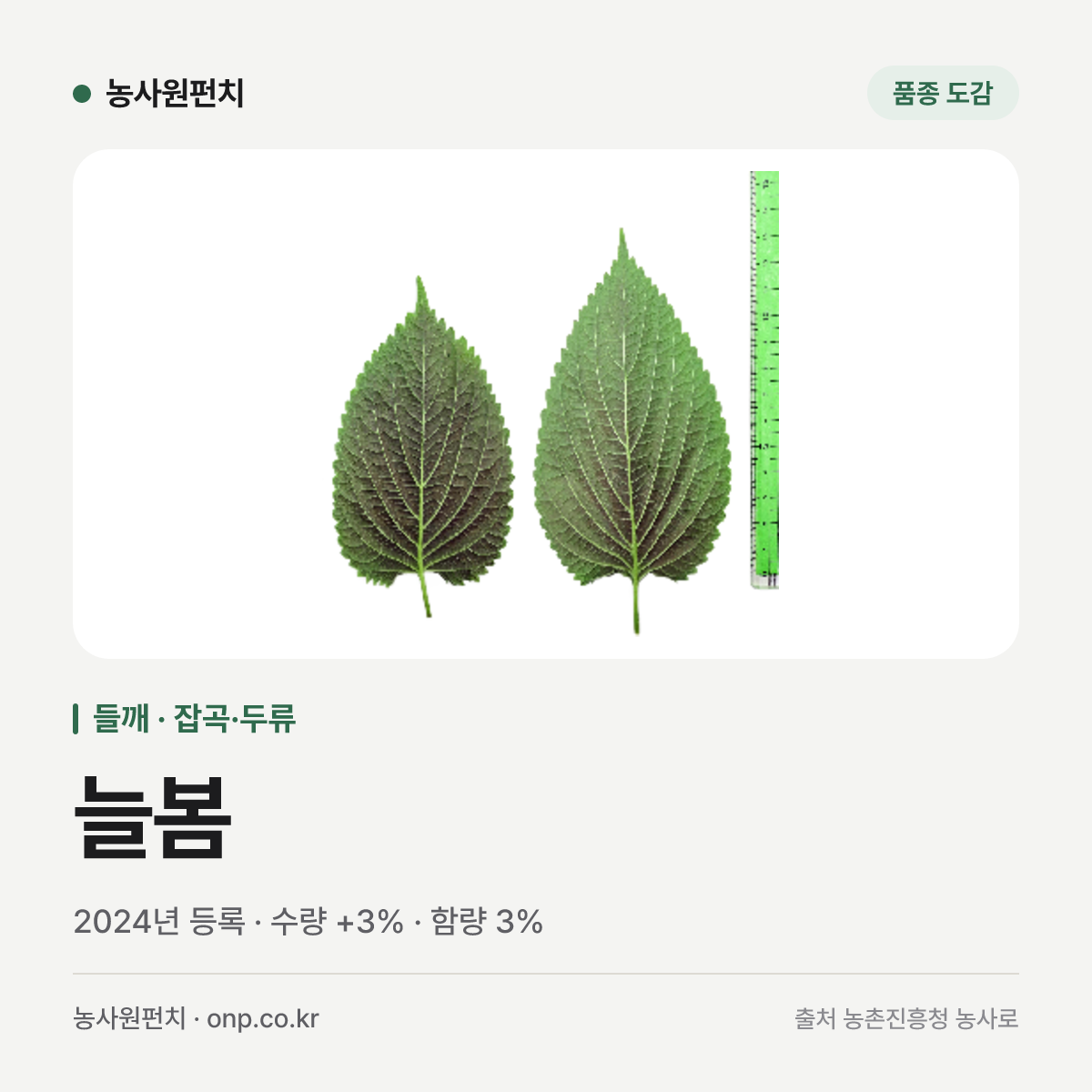 늘봄