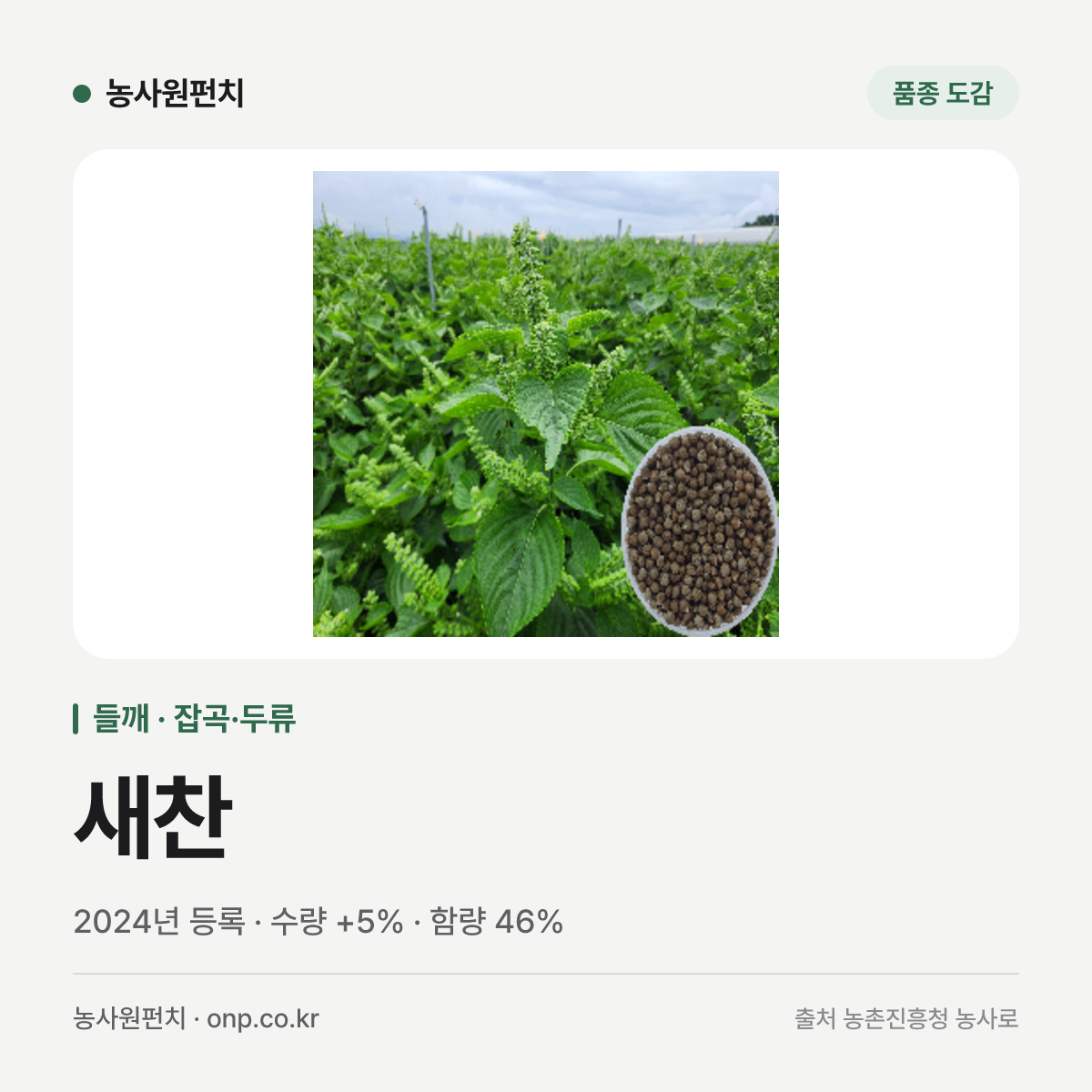 새찬