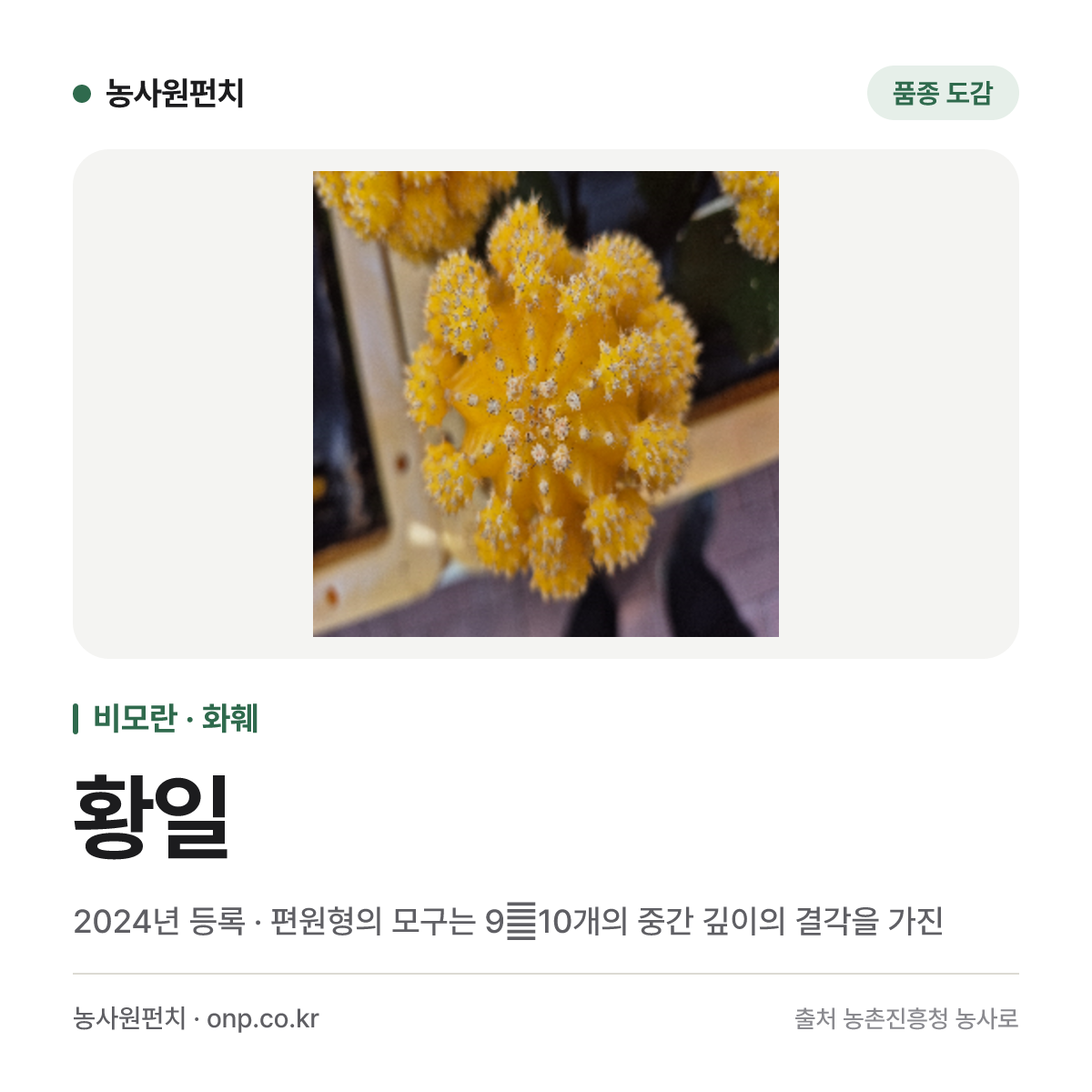 황일