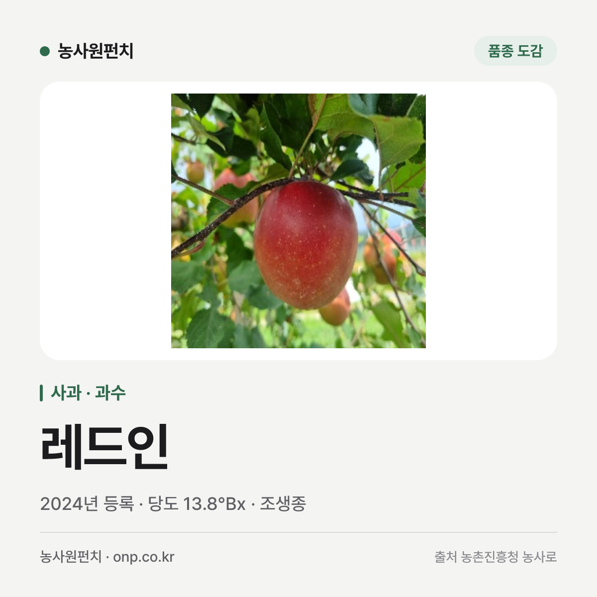 레드인