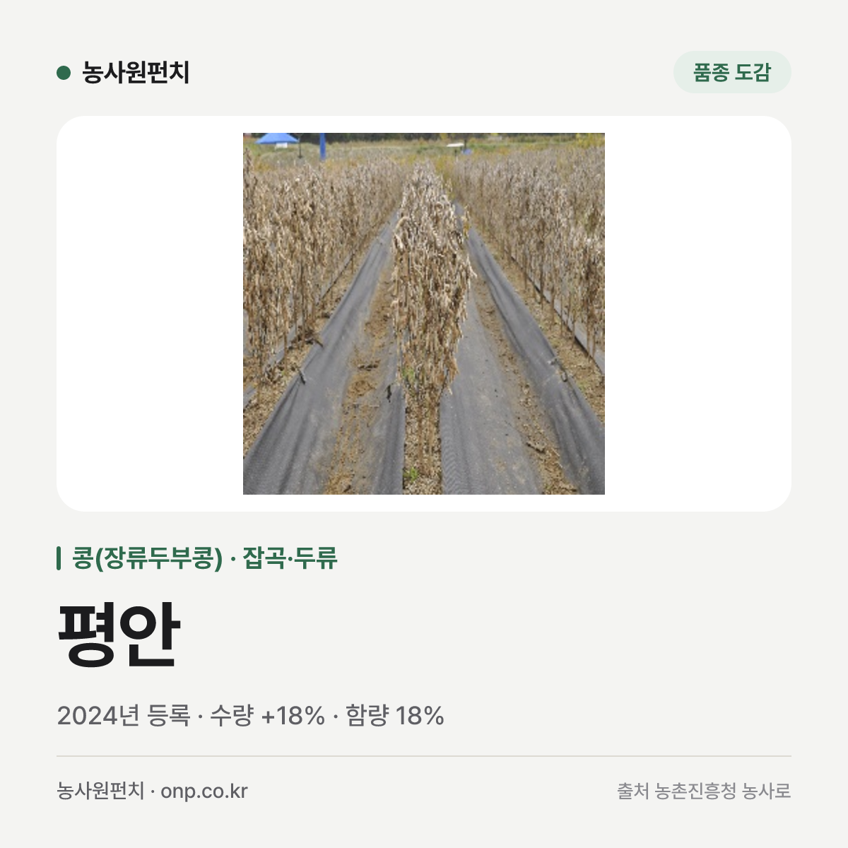 평안