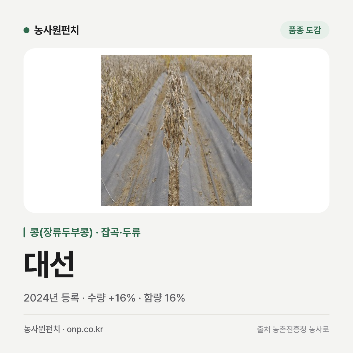 대선