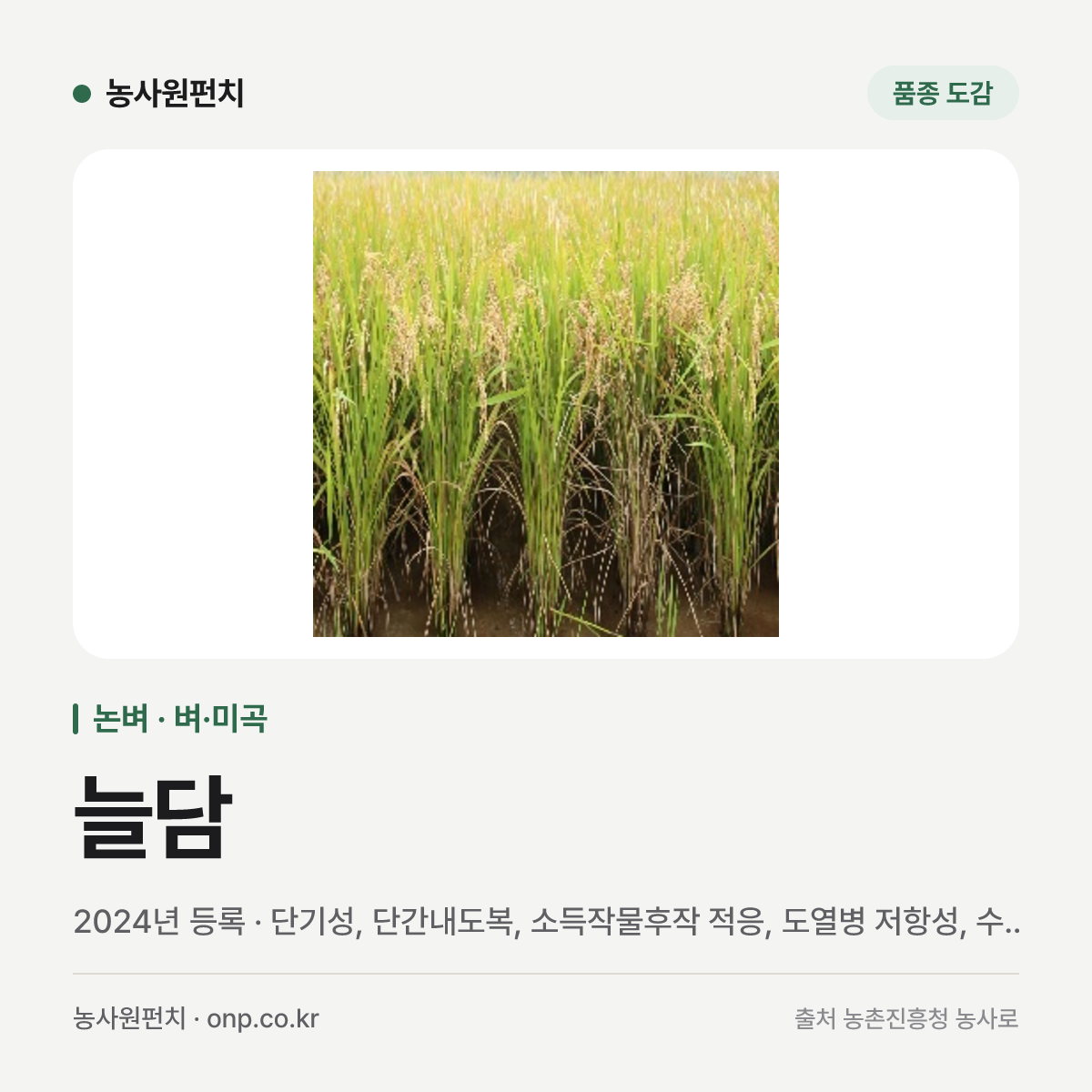 늘담