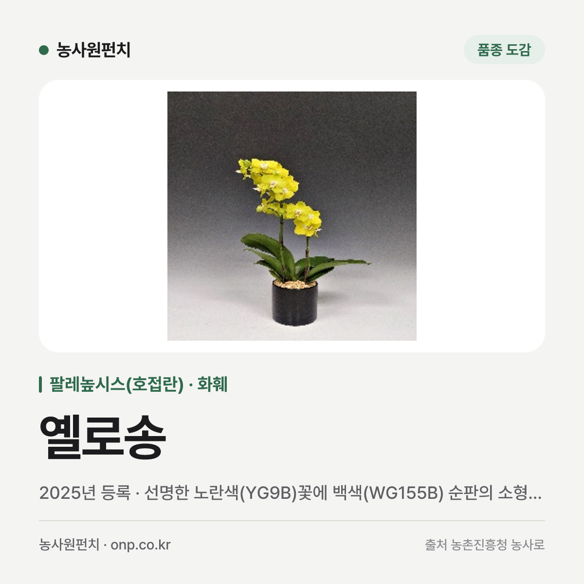 옐로송