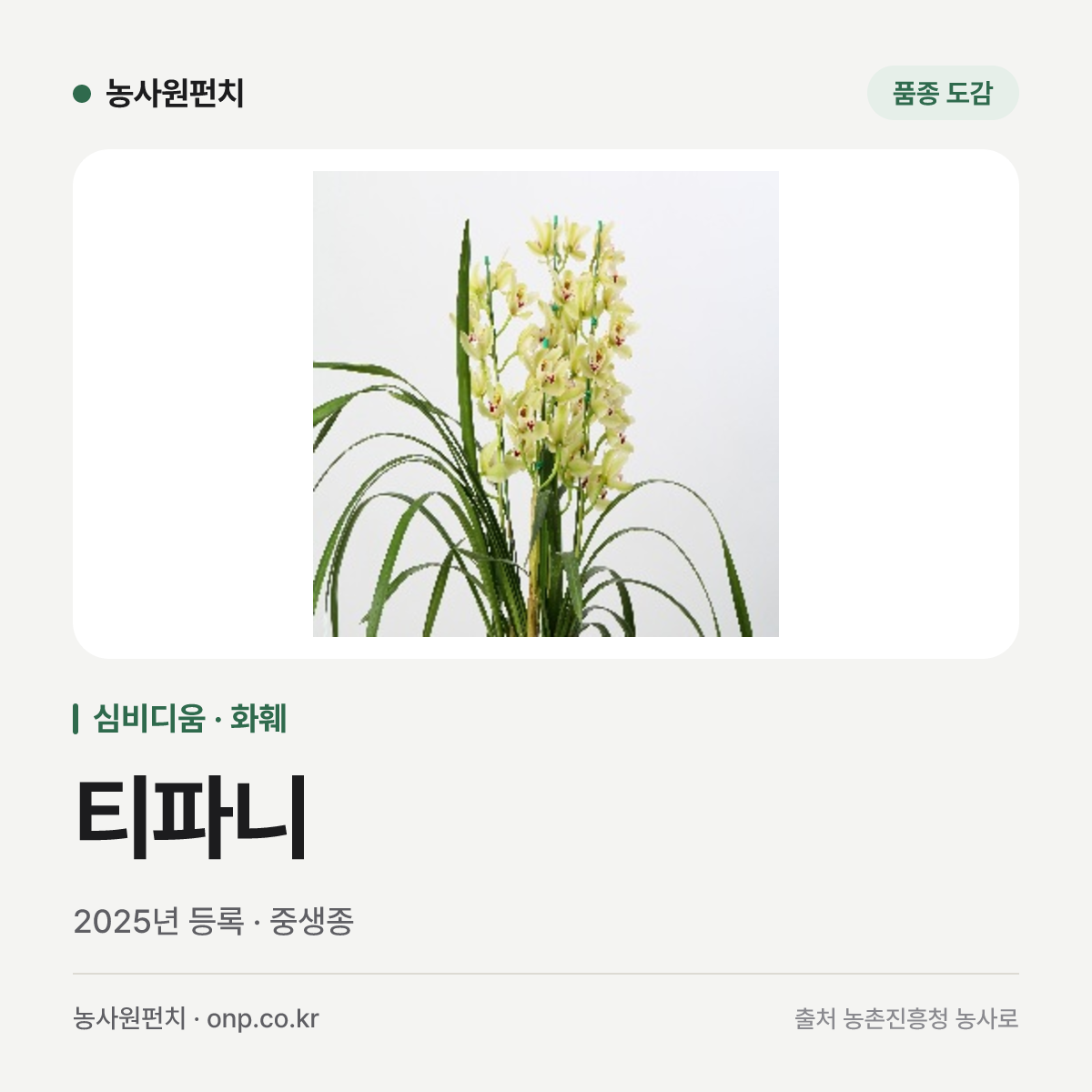 티파니