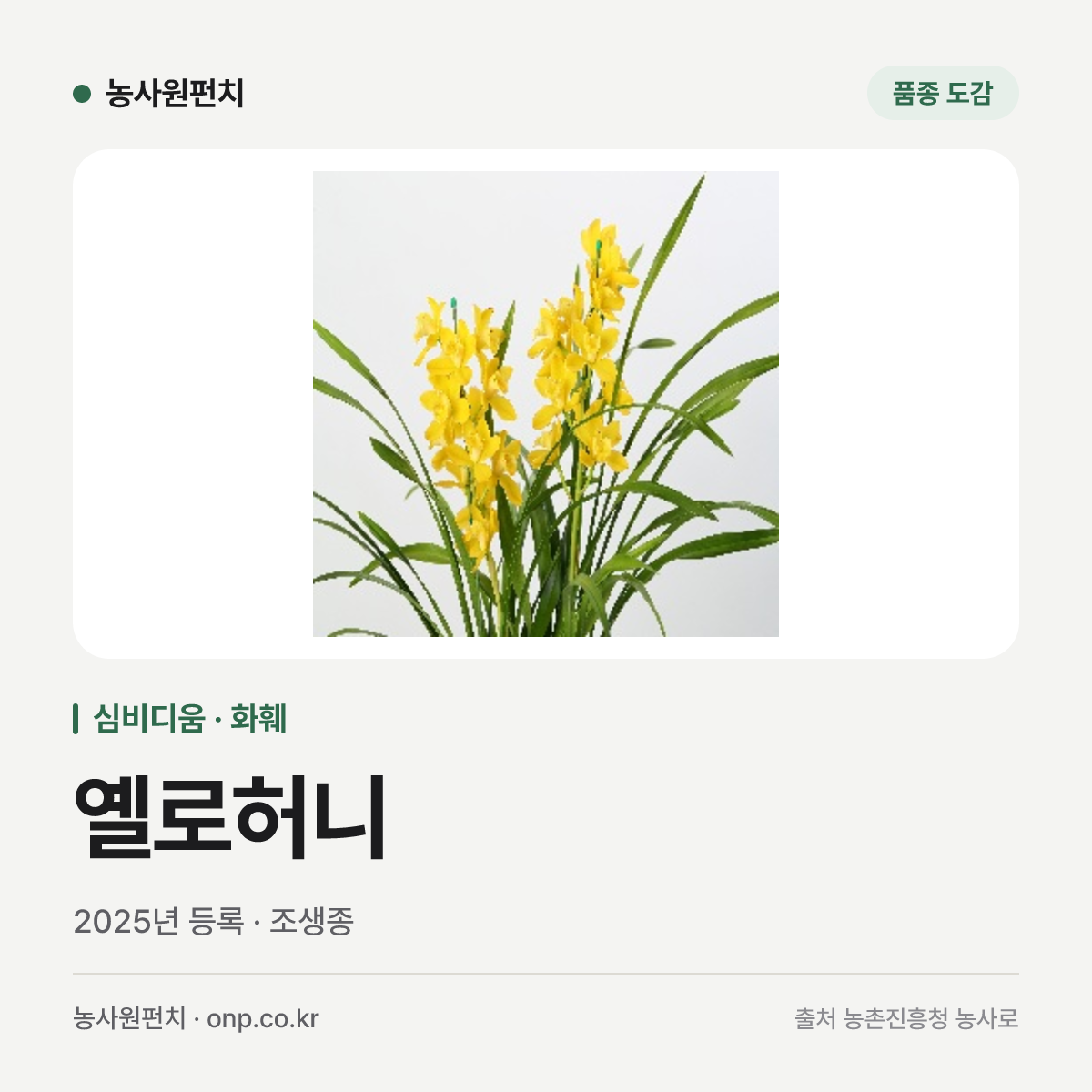 옐로허니