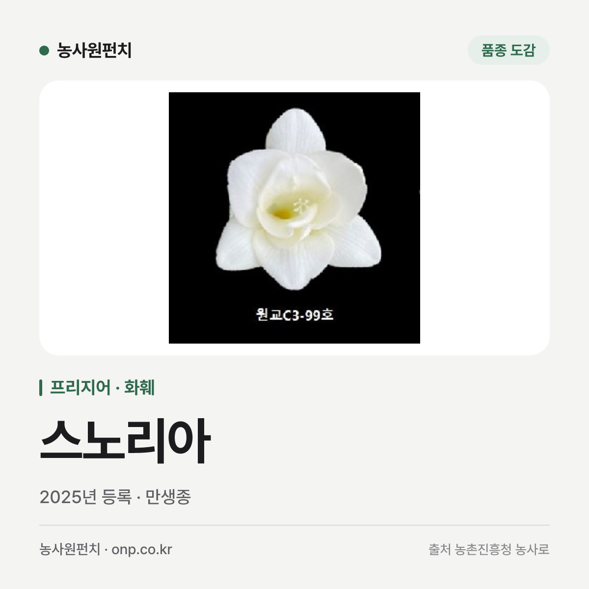 스노리아