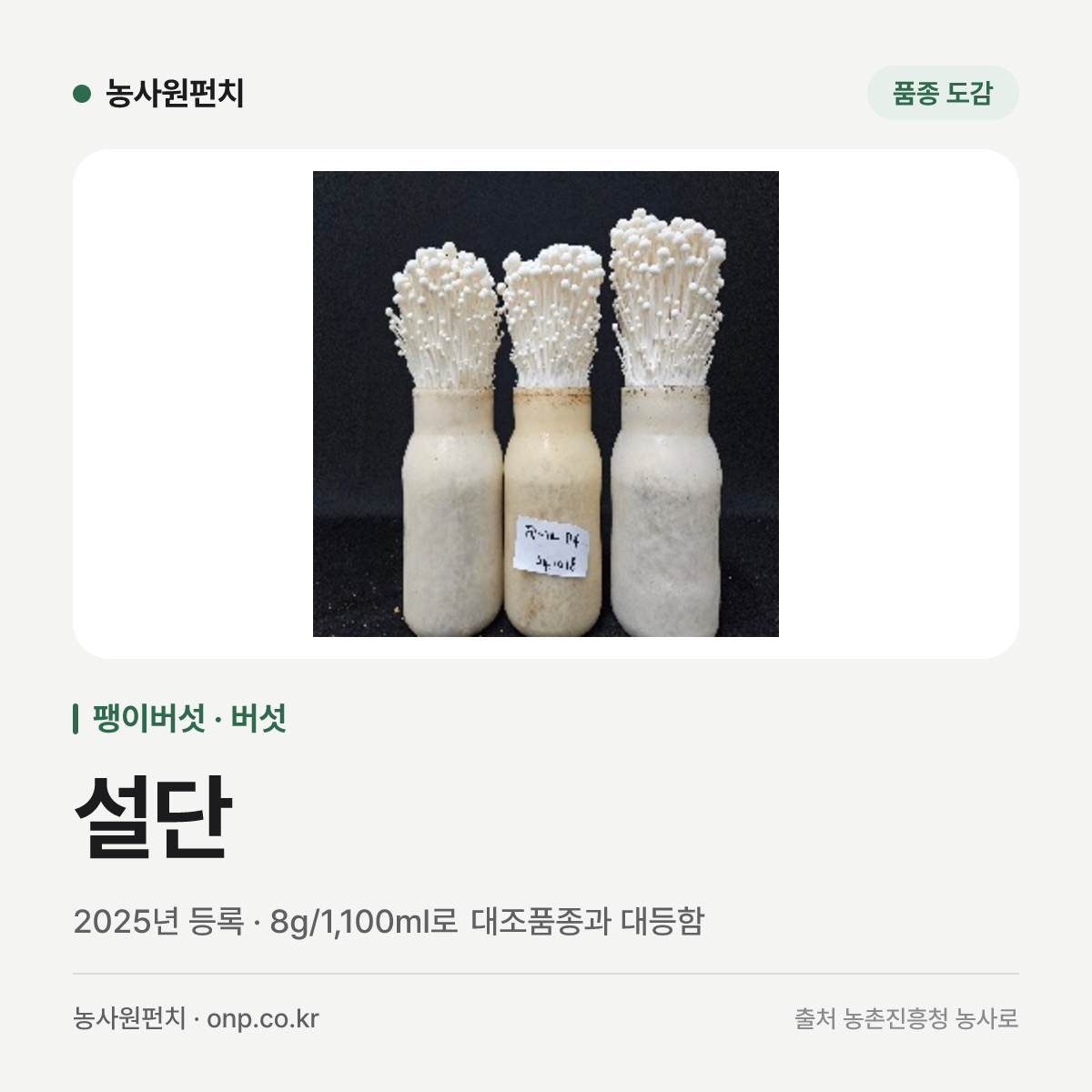설단