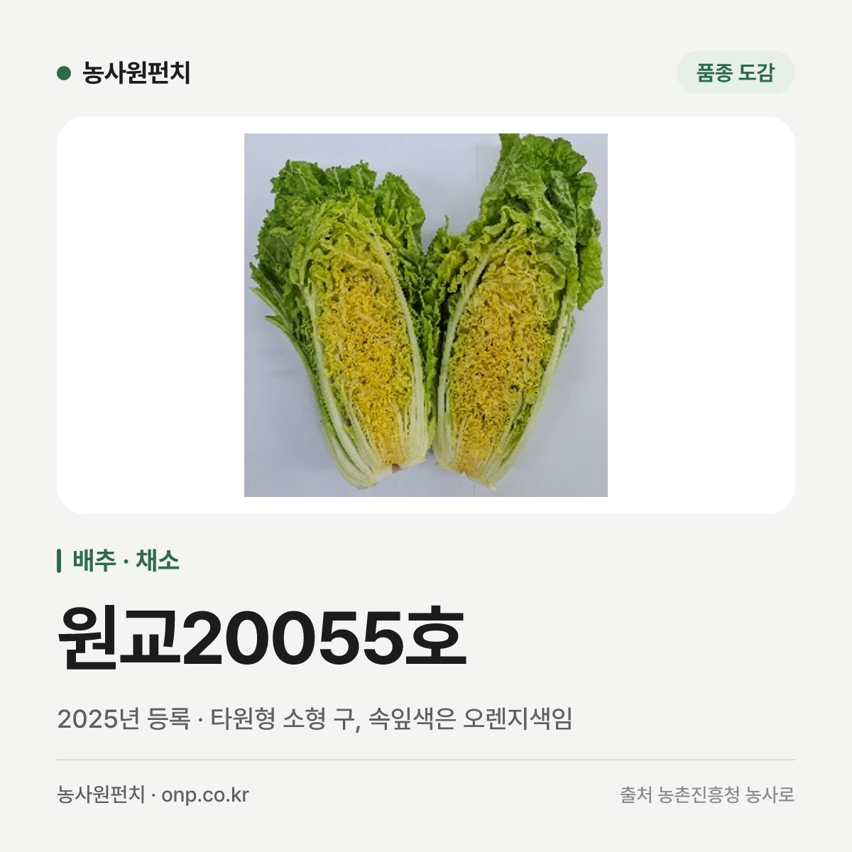 원교20055호