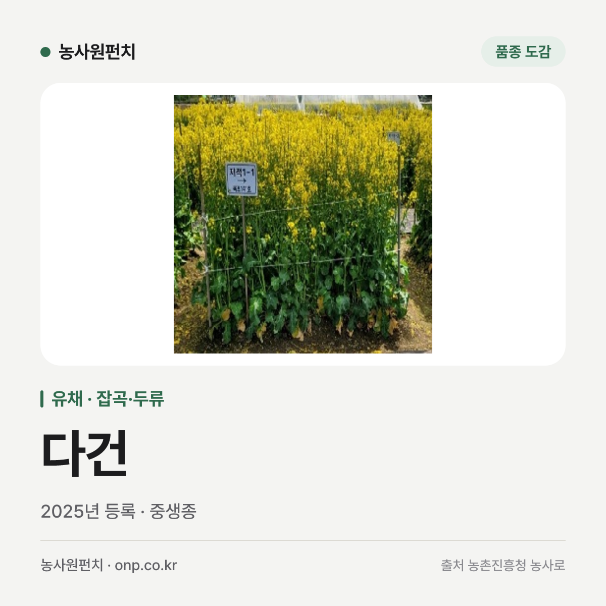 다건