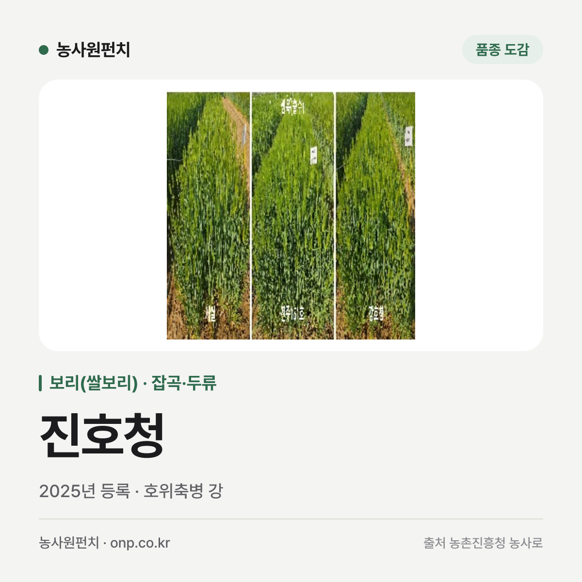 진호청