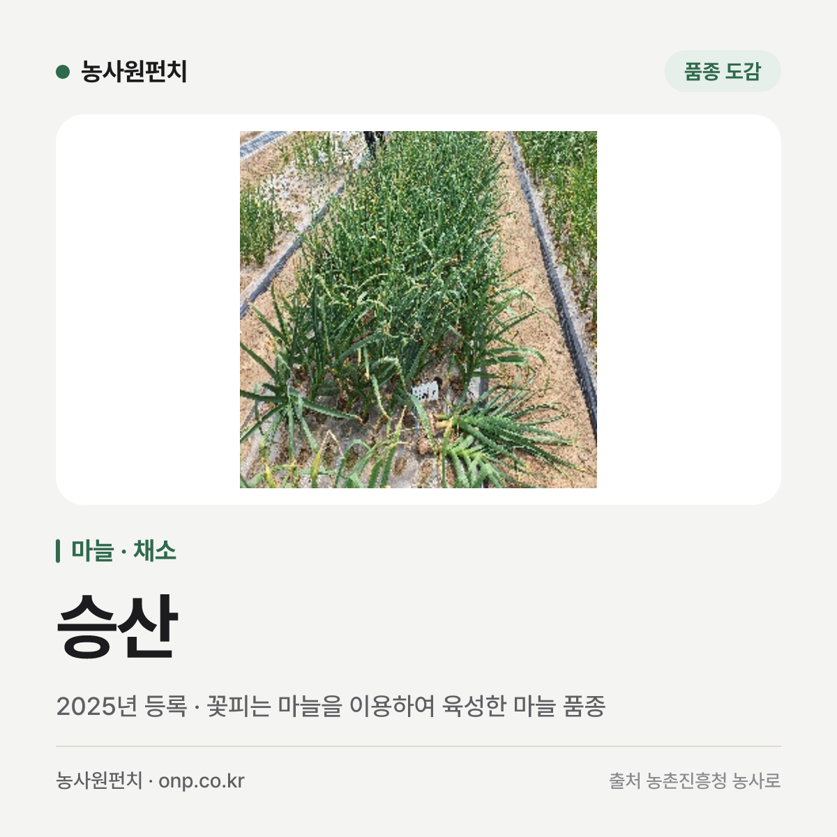 승산