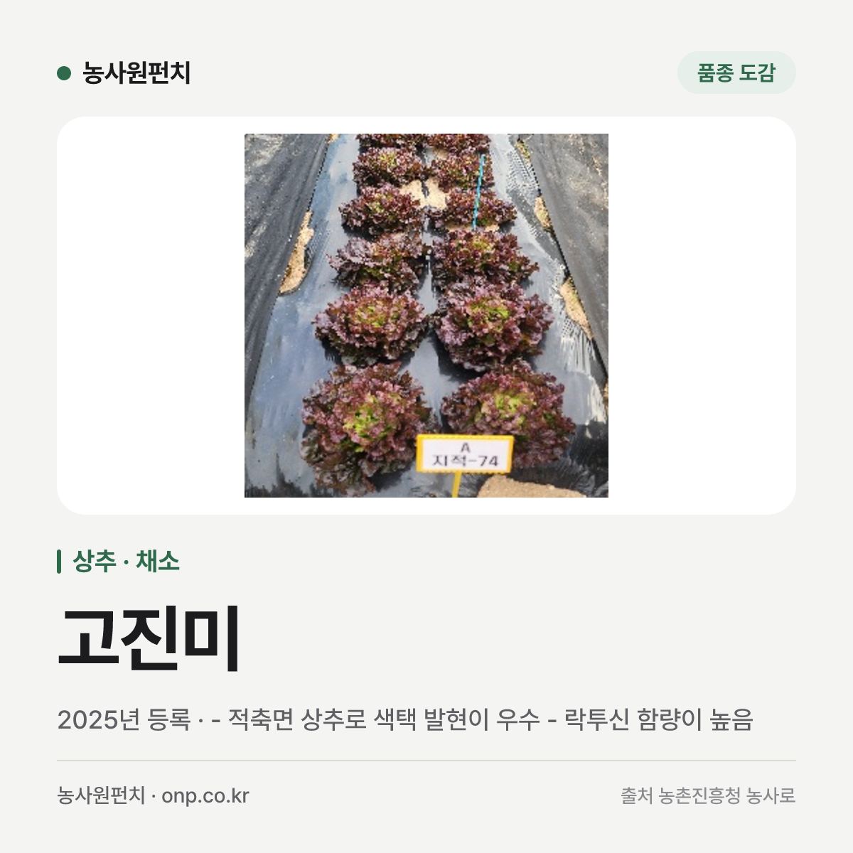 고진미