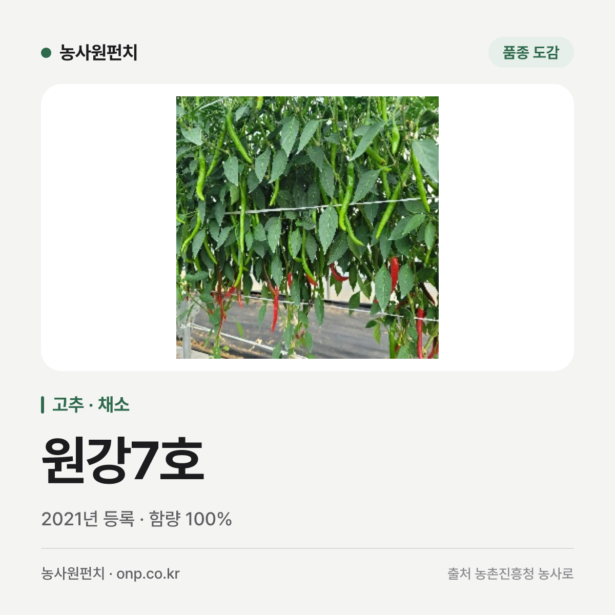 원강7호