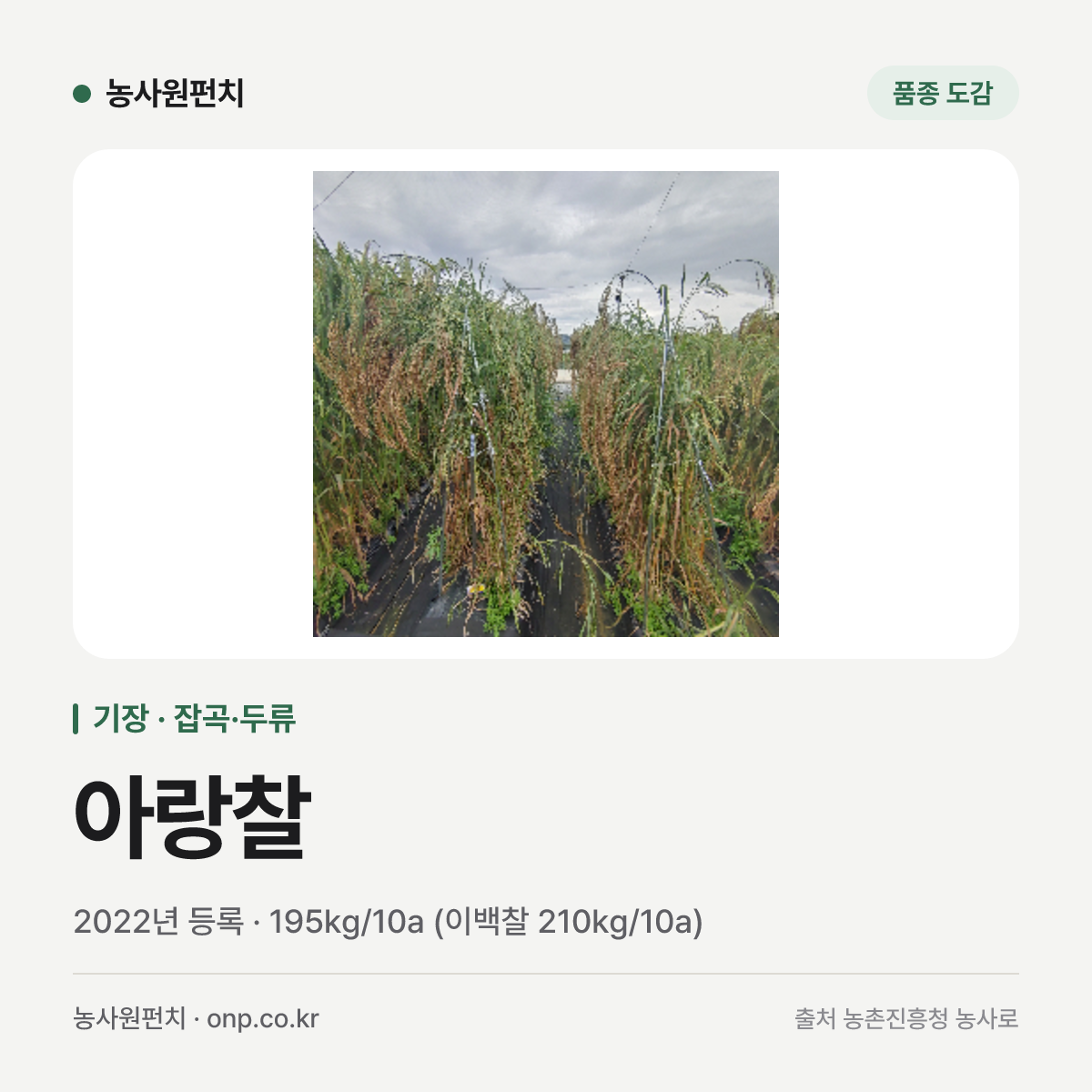 아랑찰