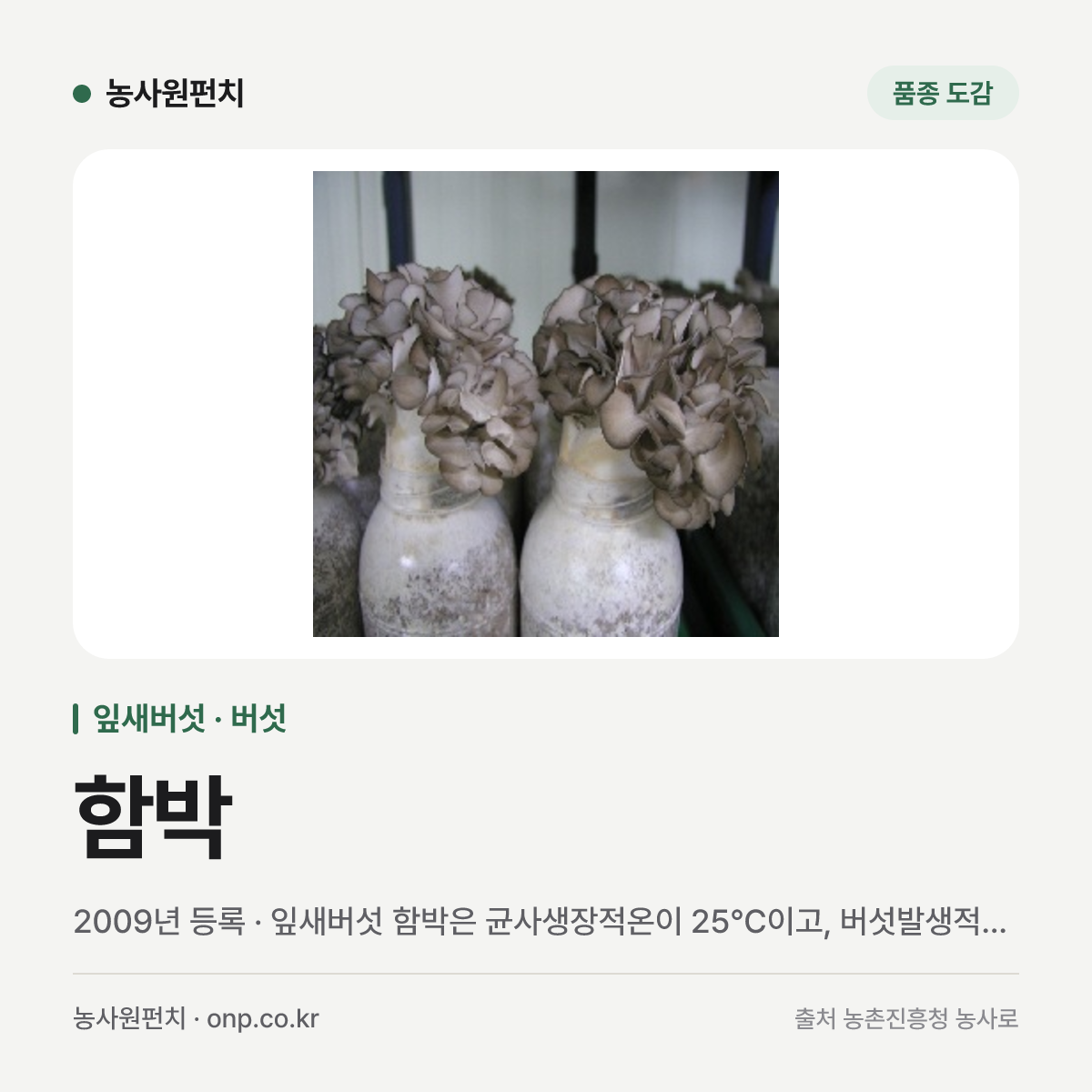함박