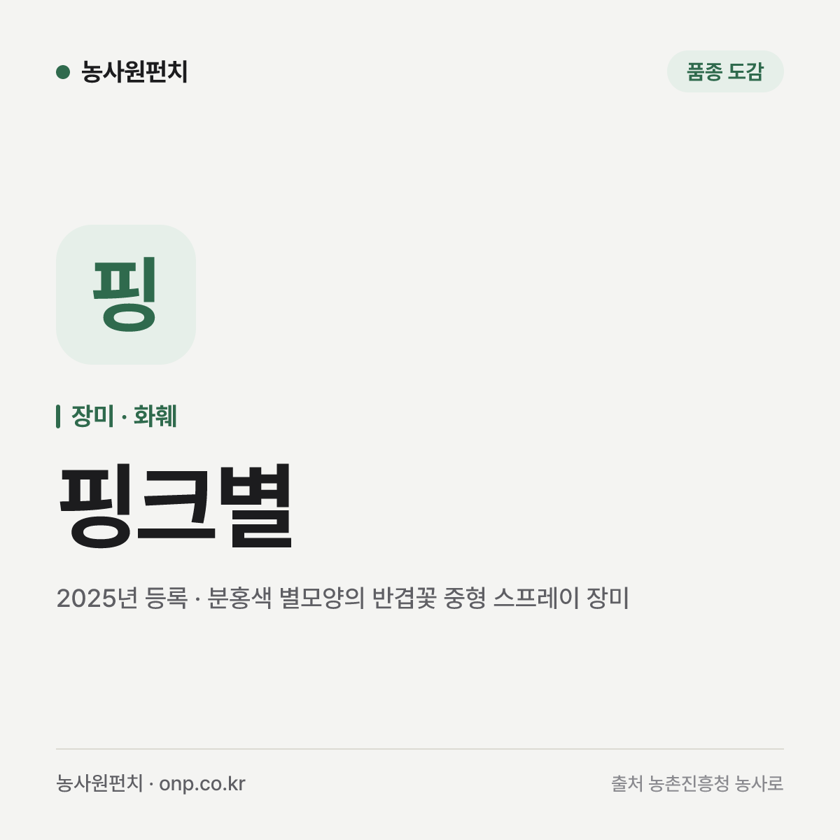 핑크별