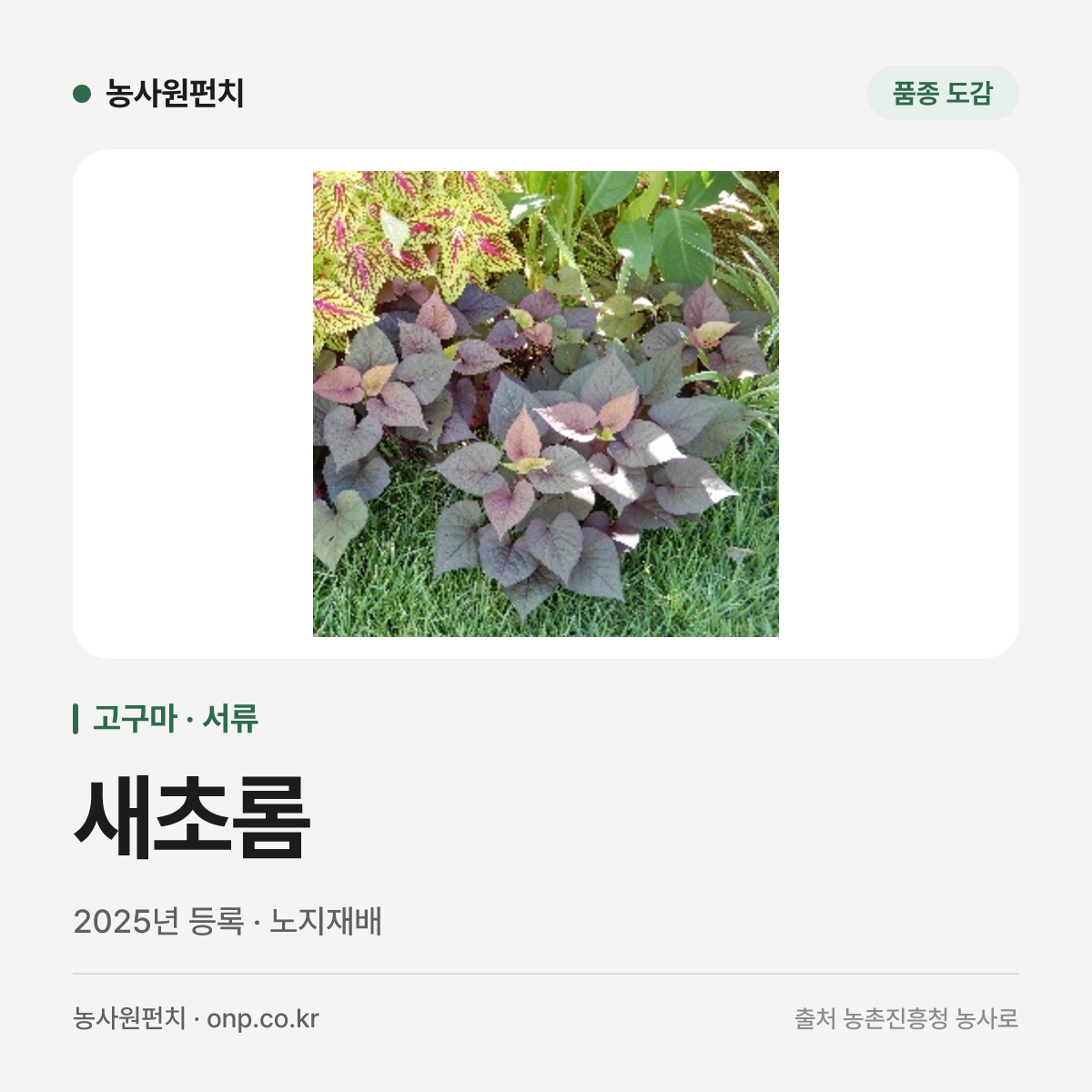새초롬