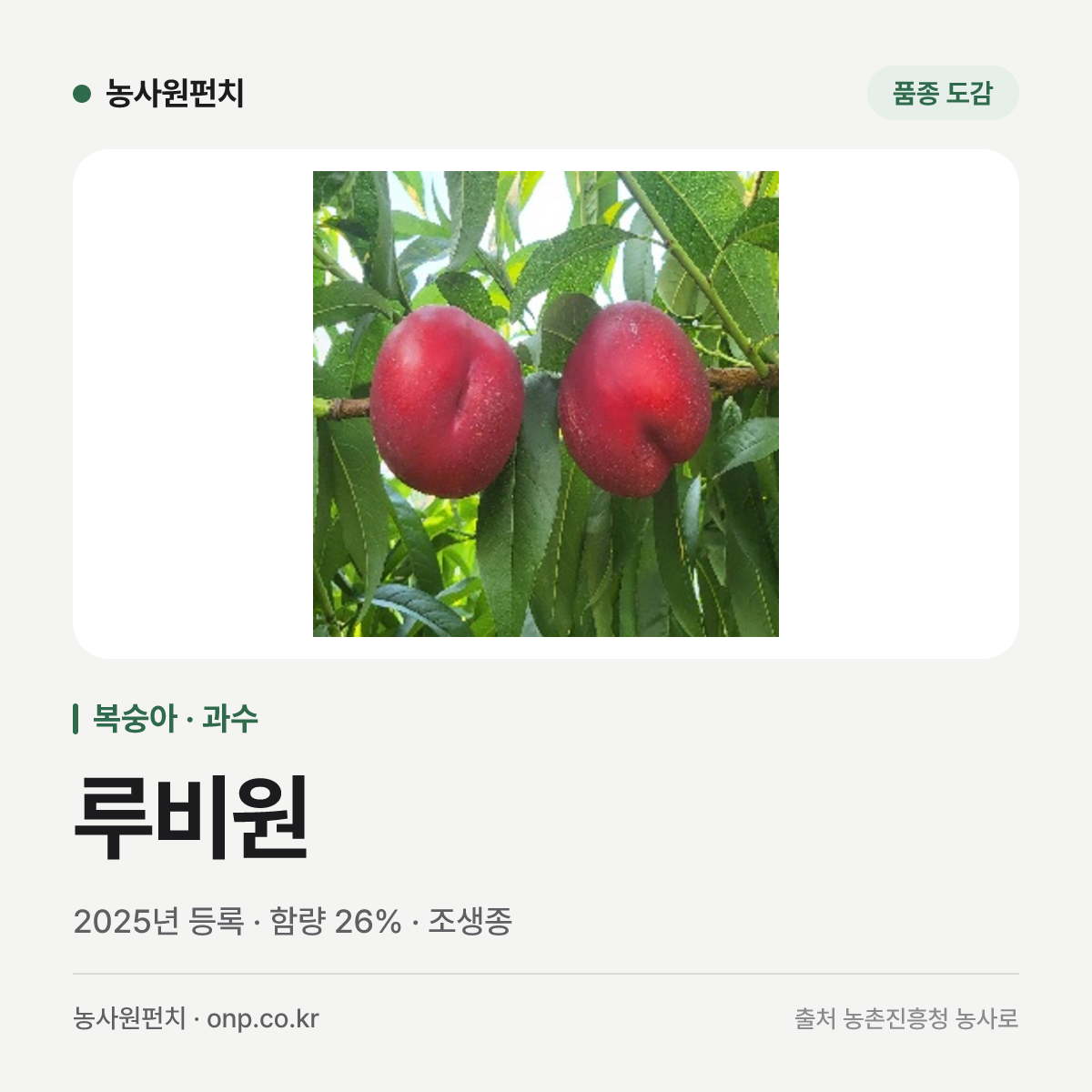 루비원