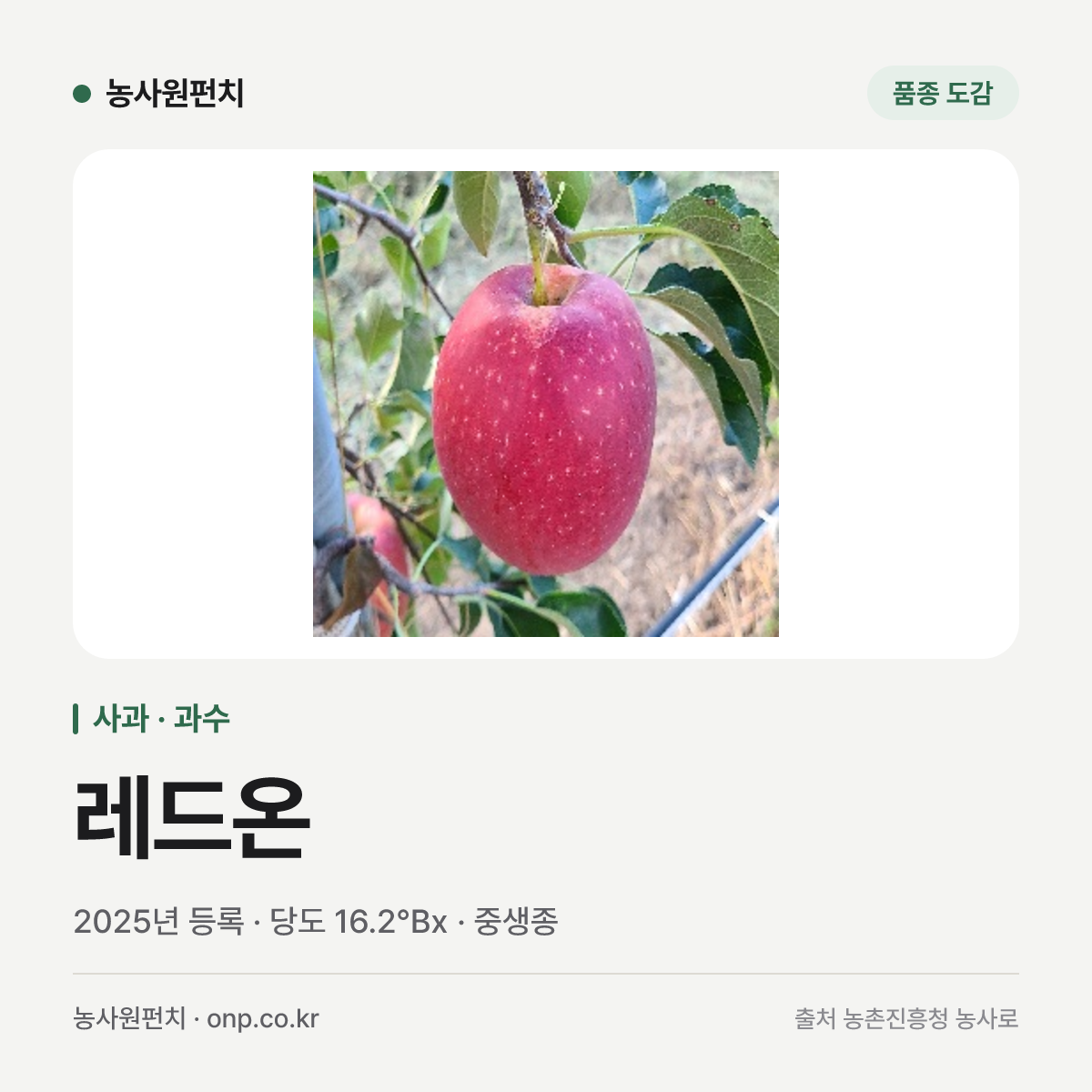 레드온