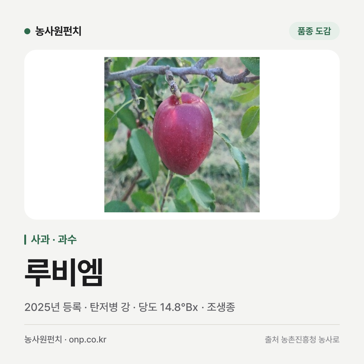 루비엠