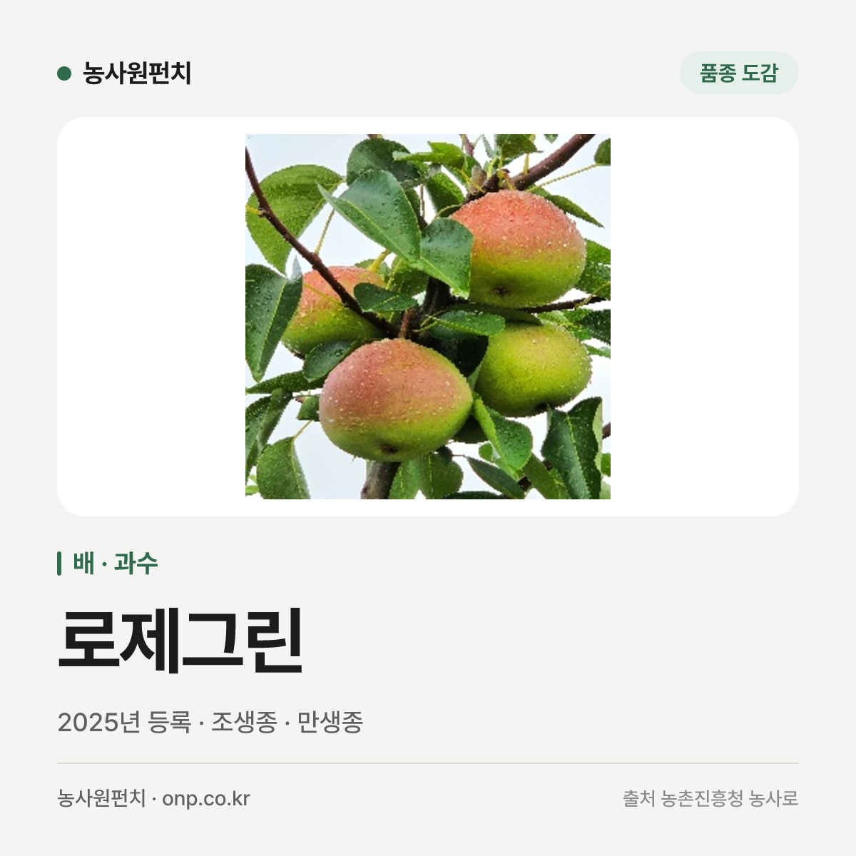 로제그린