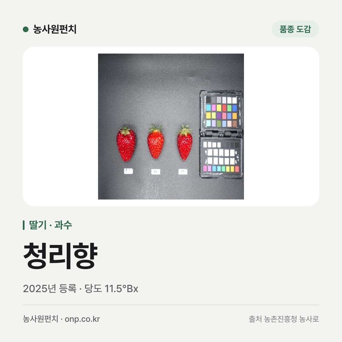 청리향