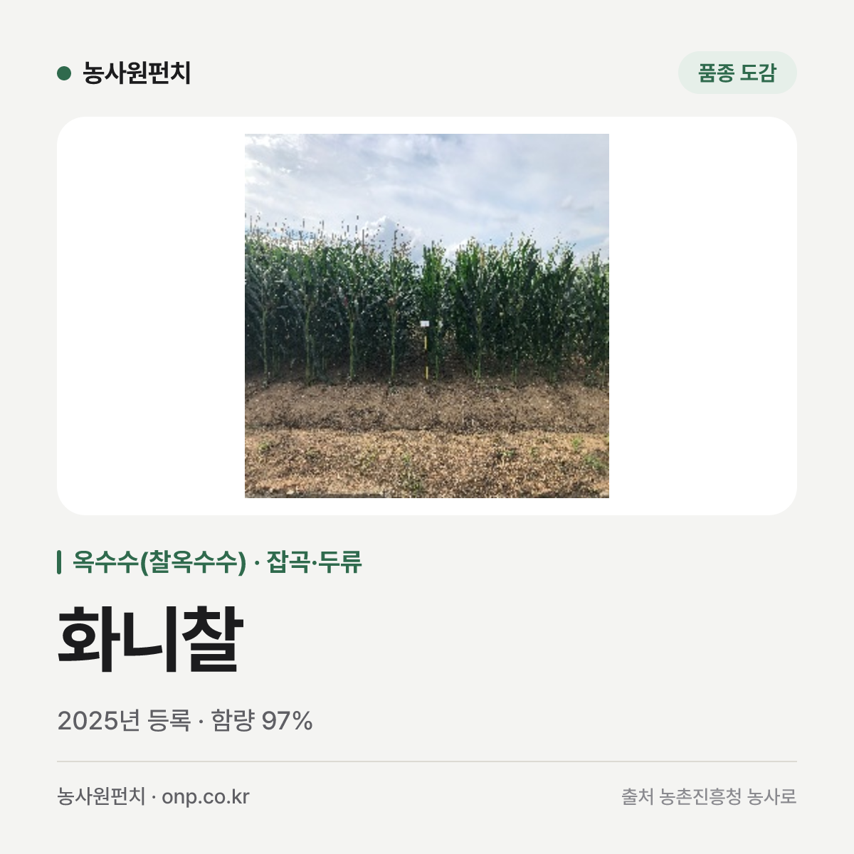 화니찰