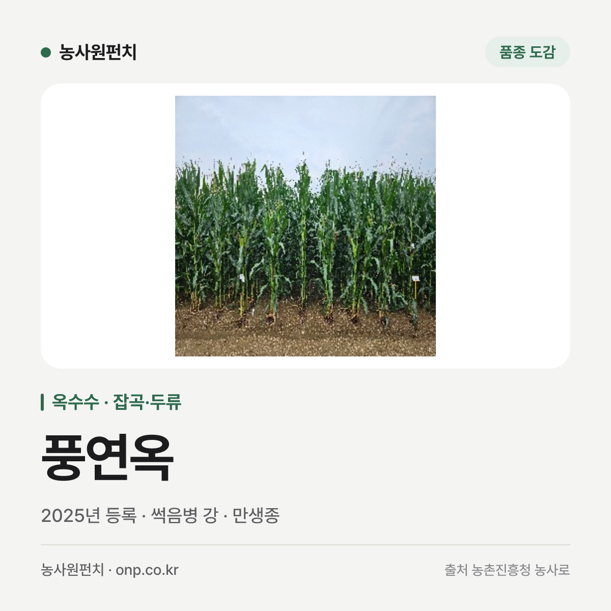 풍연옥