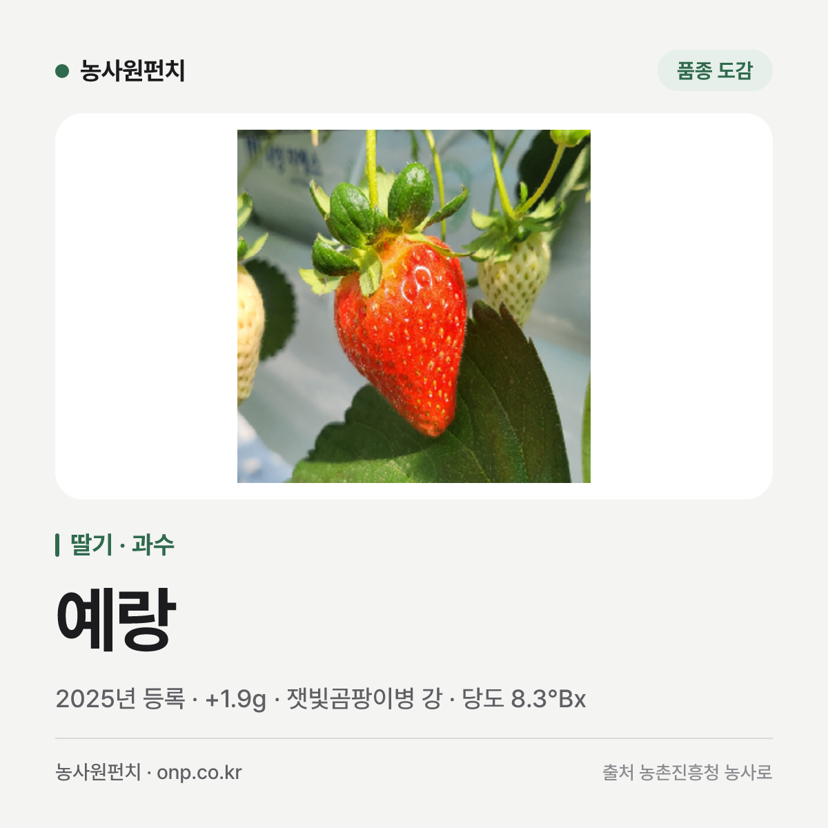 예랑