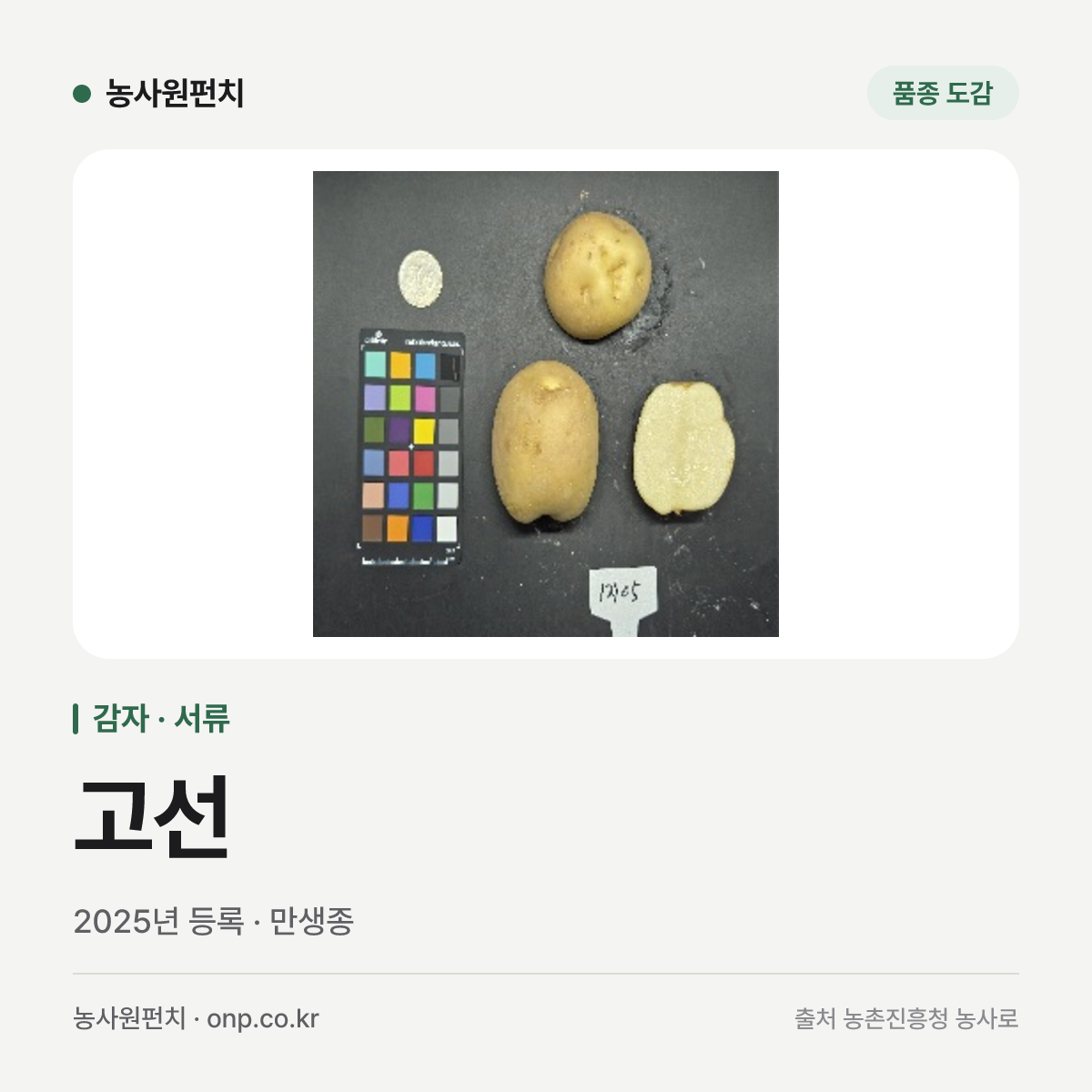 고선