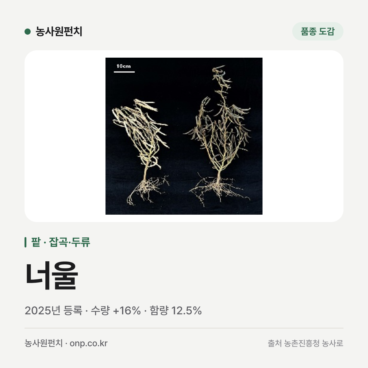 너울