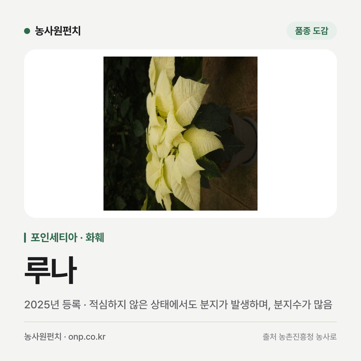 루나