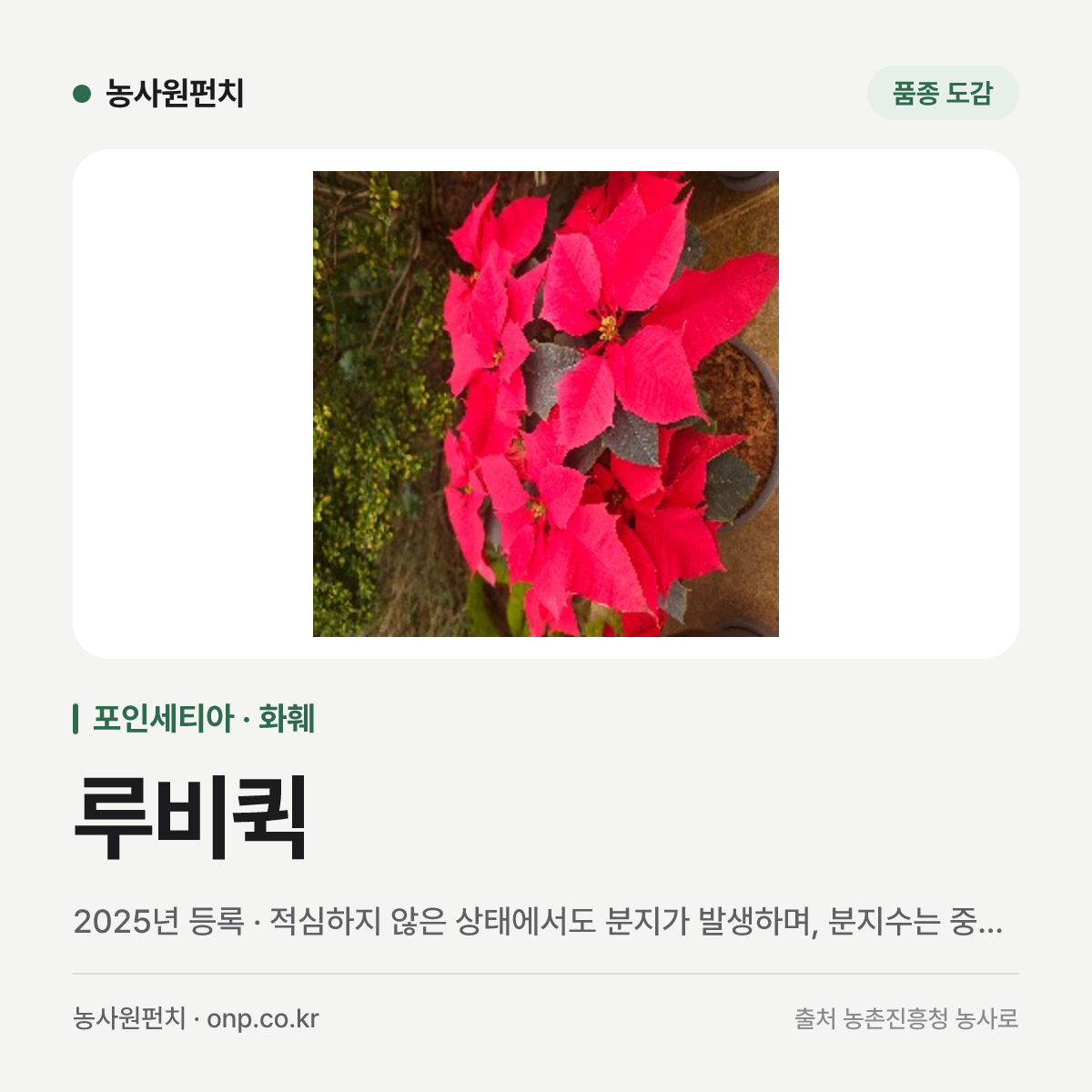 루비퀵