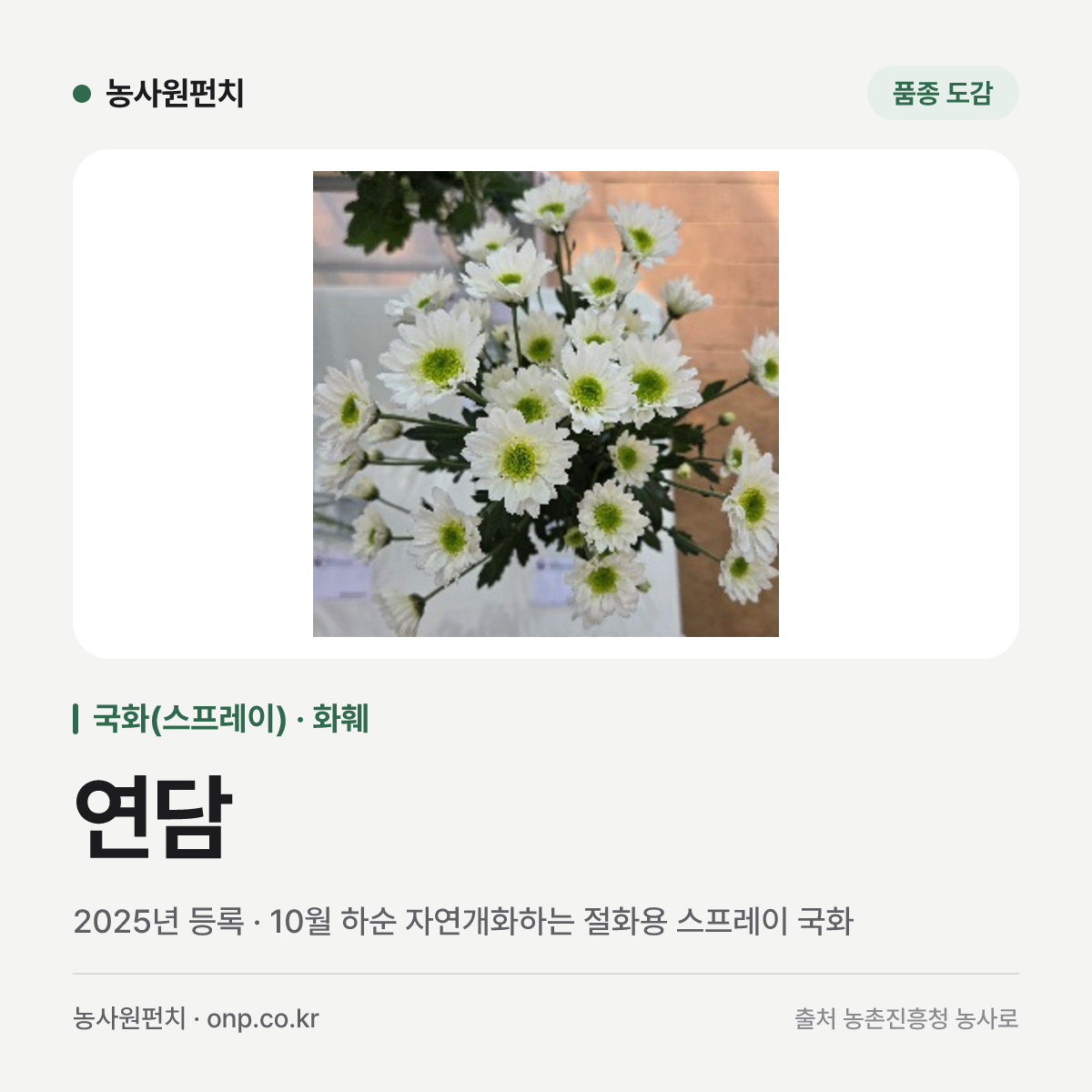 연담