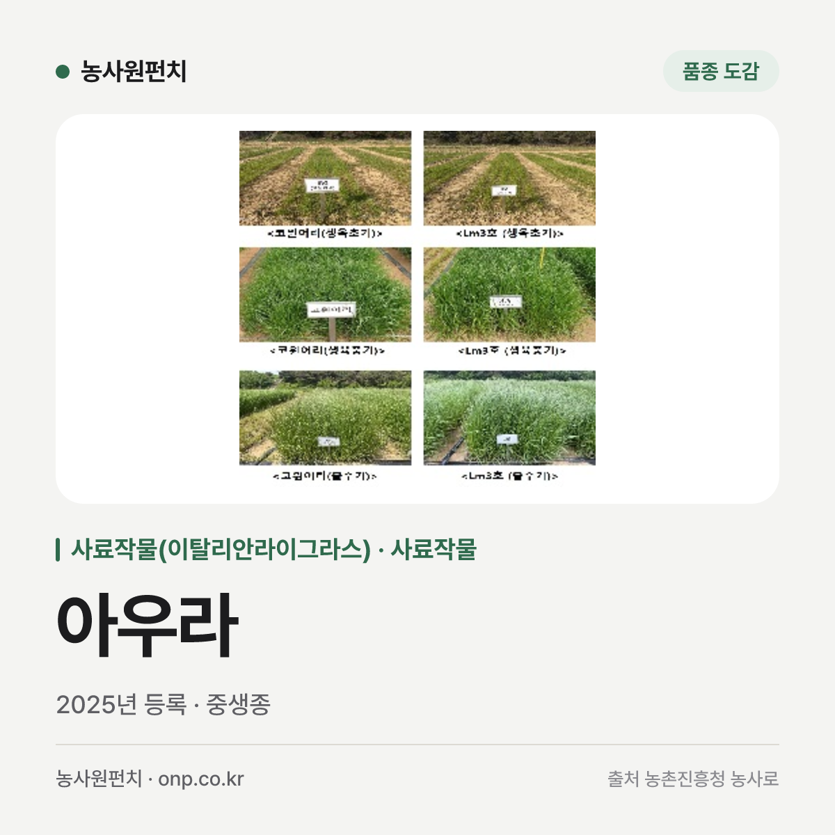 아우라